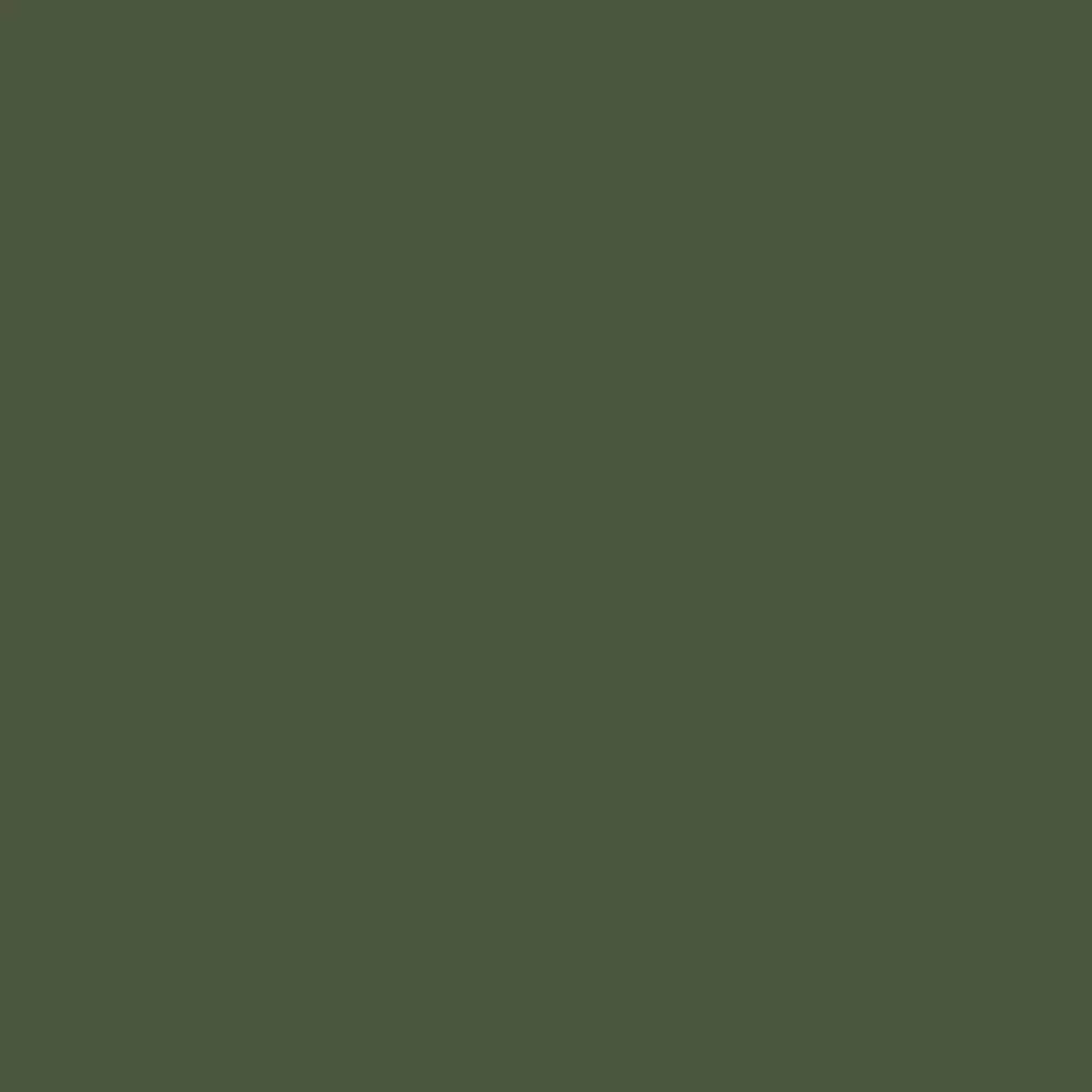 RAL 6003 zielony oliwkowy drzwi-wejsciowe kolory-drzwi kolory-ral ral-6003-zielony-oliwkowy texture