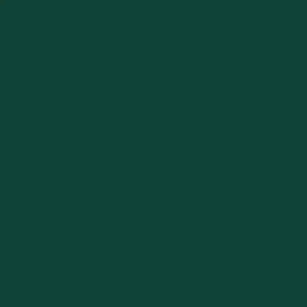 RAL 6005 zielony mech drzwi-wejsciowe kolory-drzwi kolory-ral ral-6005-zielony-mech texture