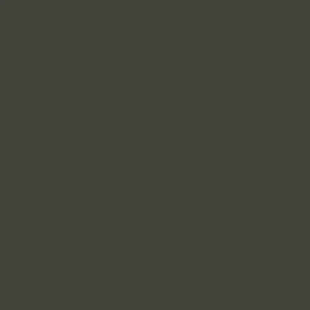 RAL 6006 oliwkowy szary drzwi-wejsciowe kolory-drzwi kolory-ral ral-6006-oliwkowy-szary texture