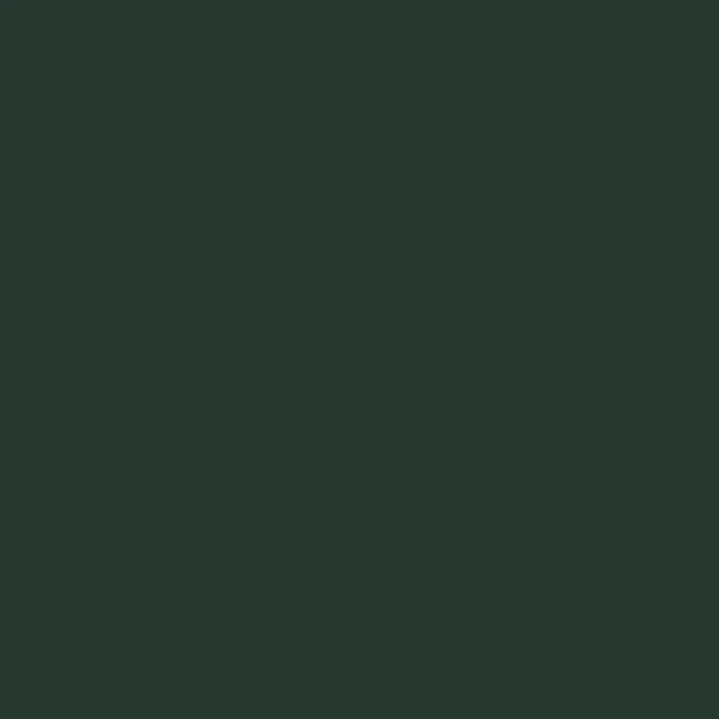 RAL 6009 zielony jodłowy drzwi-wejsciowe kolory-drzwi kolory-ral ral-6009-zielony-jodlowy texture
