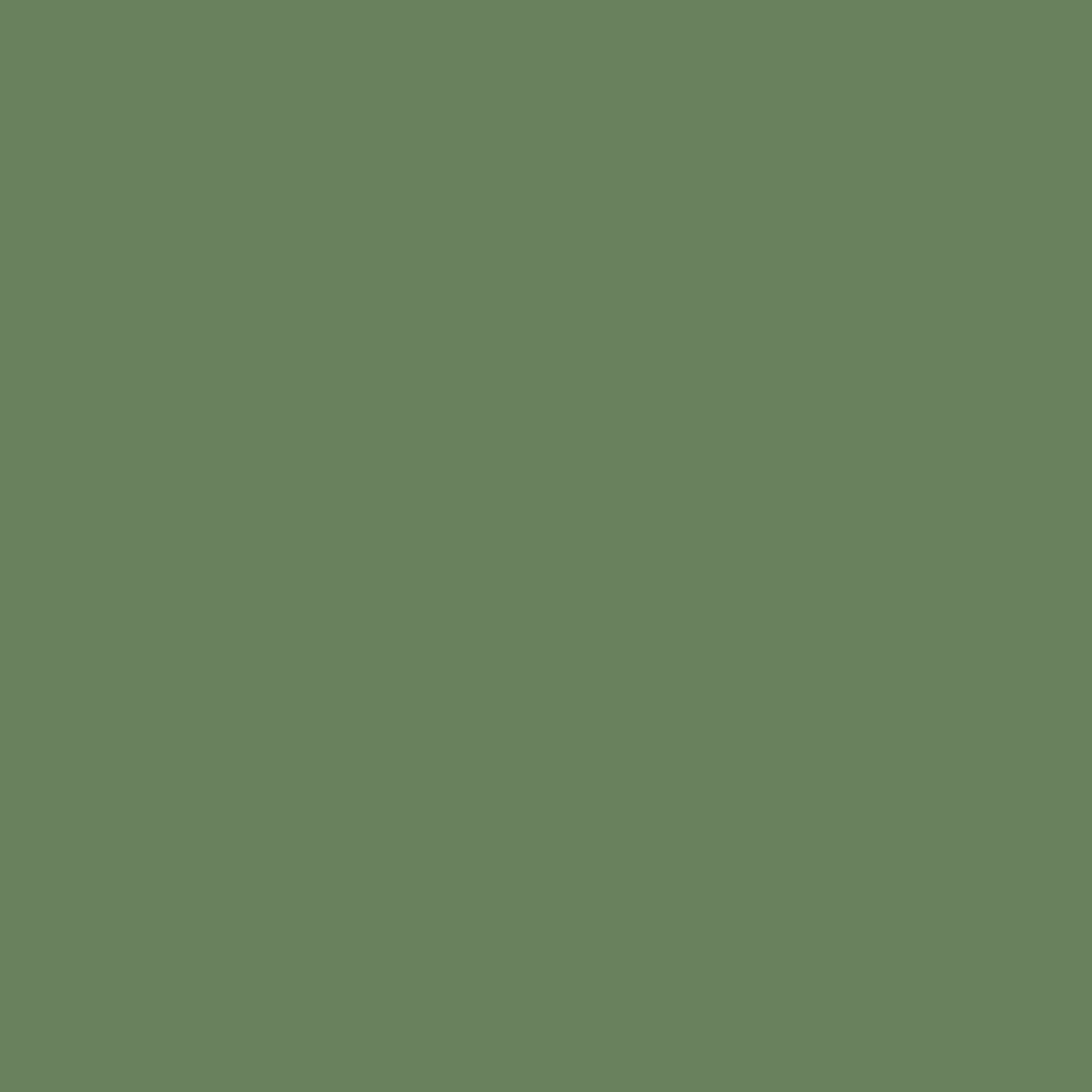 RAL 6011 zielony groszkowy drzwi-wejsciowe kolory-drzwi kolory-ral ral-6011-zielony-groszkowy texture