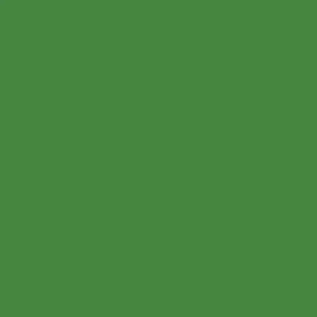 RAL 6017 zielony majowy drzwi-wejsciowe kolory-drzwi kolory-ral ral-6017-zielony-majowy texture