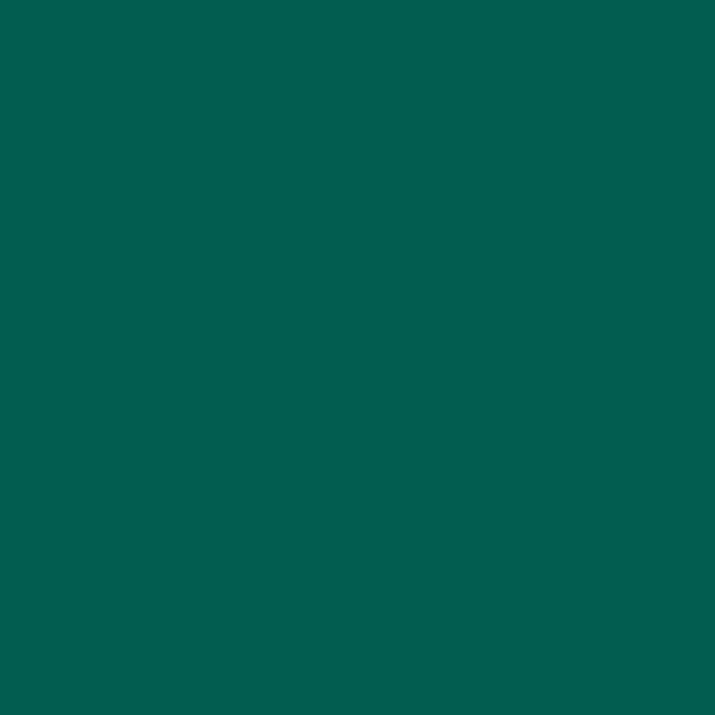 RAL 6026 zielony opal drzwi-wejsciowe kolory-drzwi kolory-ral ral-6026-zielony-opal texture