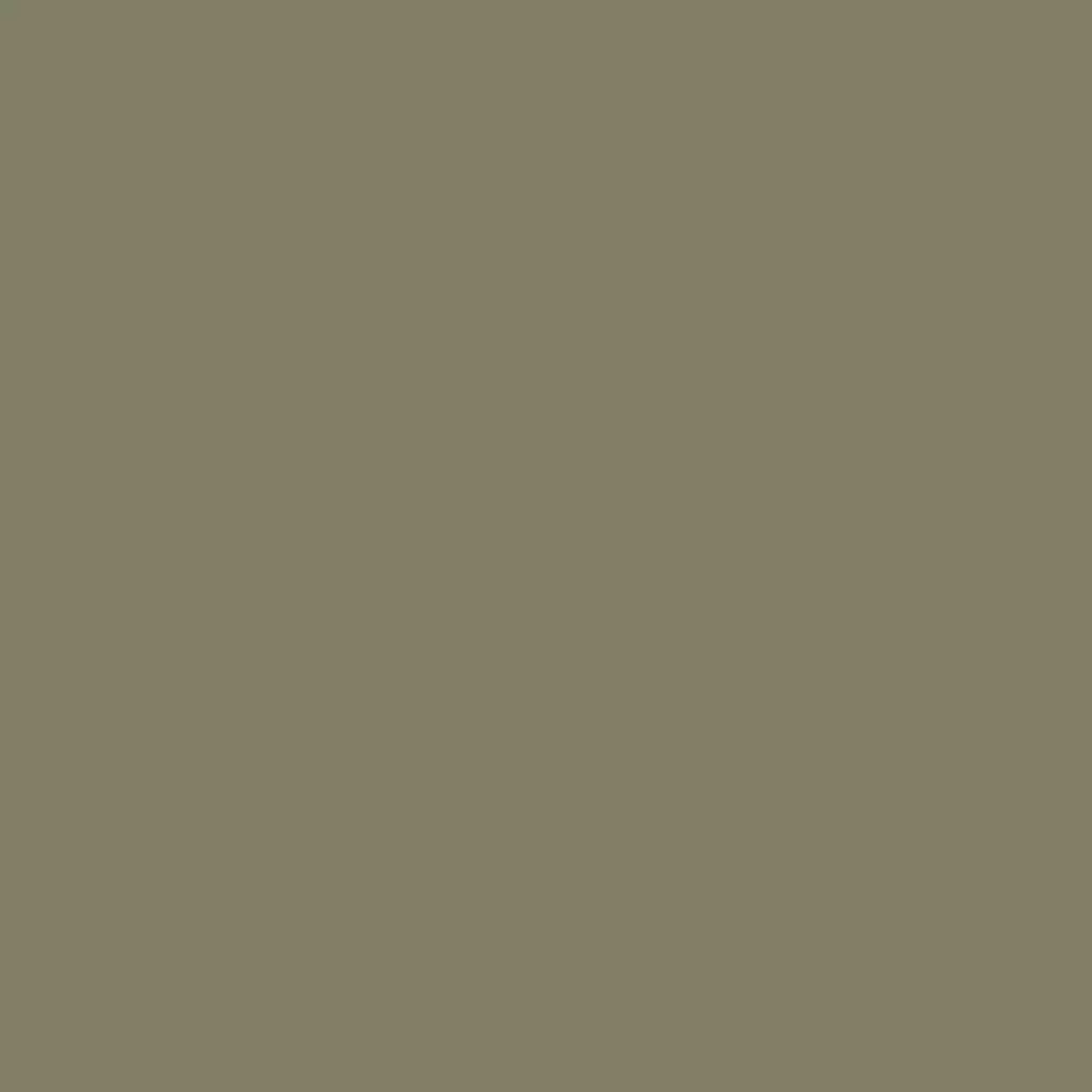 RAL 7002 szary oliwkowy drzwi-wejsciowe kolory-drzwi kolory-ral ral-7002-szary-oliwkowy texture