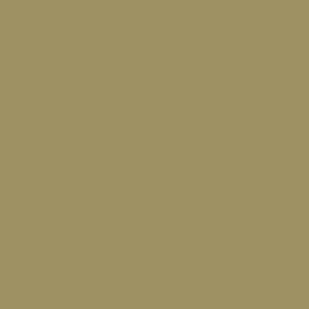 RAL 1020 piaskowo-szary drzwi-wejsciowe kolory-drzwi kolory-ral ral-1020-piaskowo-szary texture