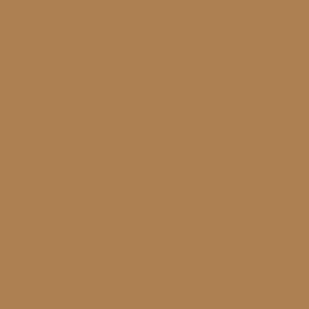 RAL 1011 irchowo–beżowy drzwi-wejsciowe kolory-drzwi kolory-ral ral-1011-irchowo-bezowy texture