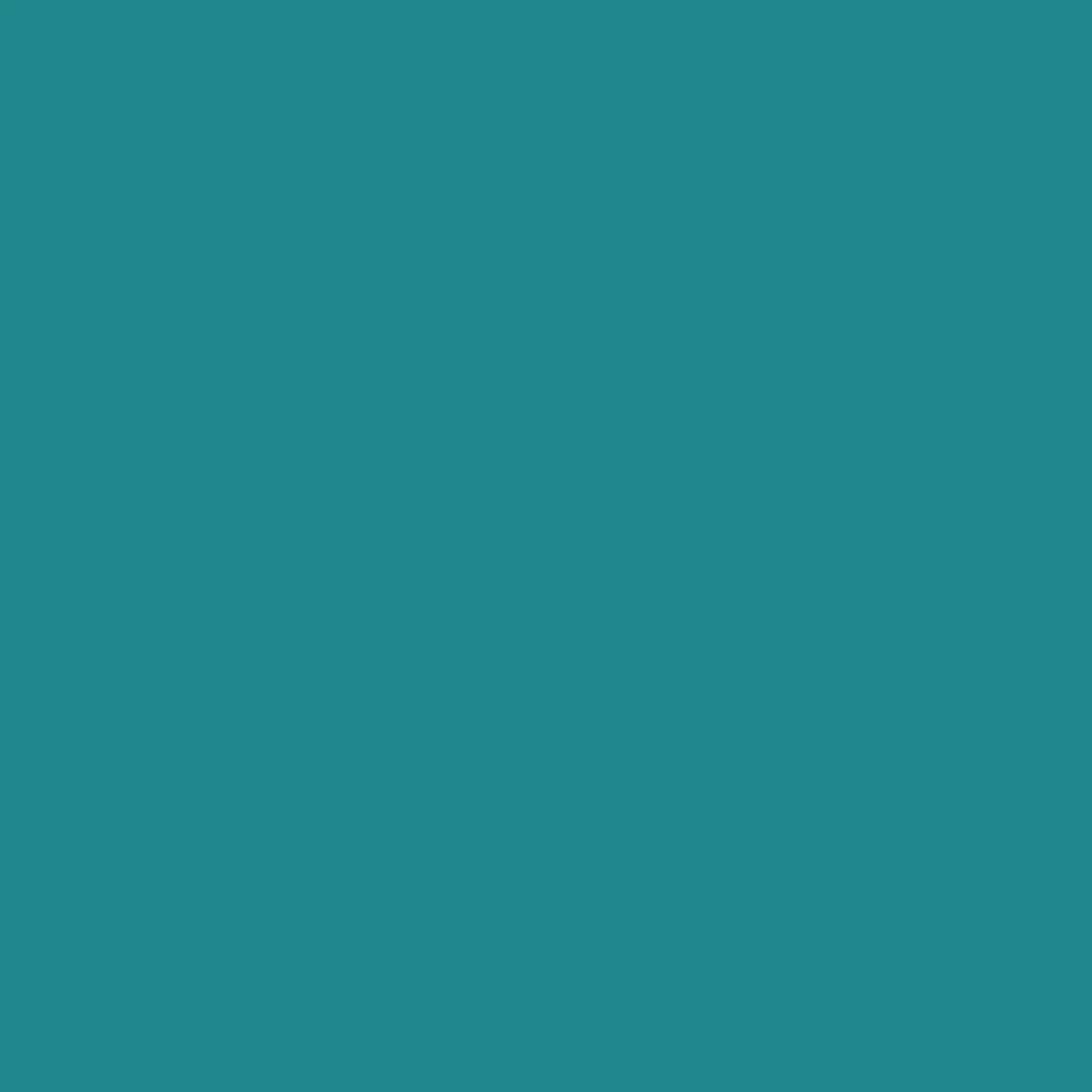 RAL 5018 turkusowy niebieski drzwi-wejsciowe kolory-drzwi kolory-ral ral-5018-turkusowy-niebieski texture
