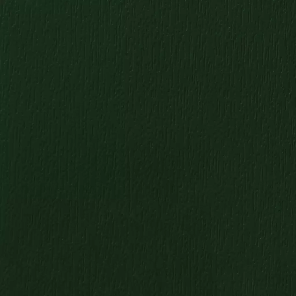 Ciemny zielony drzwi-wejsciowe kolory-drzwi kolory-standardowe ciemny-zielony texture