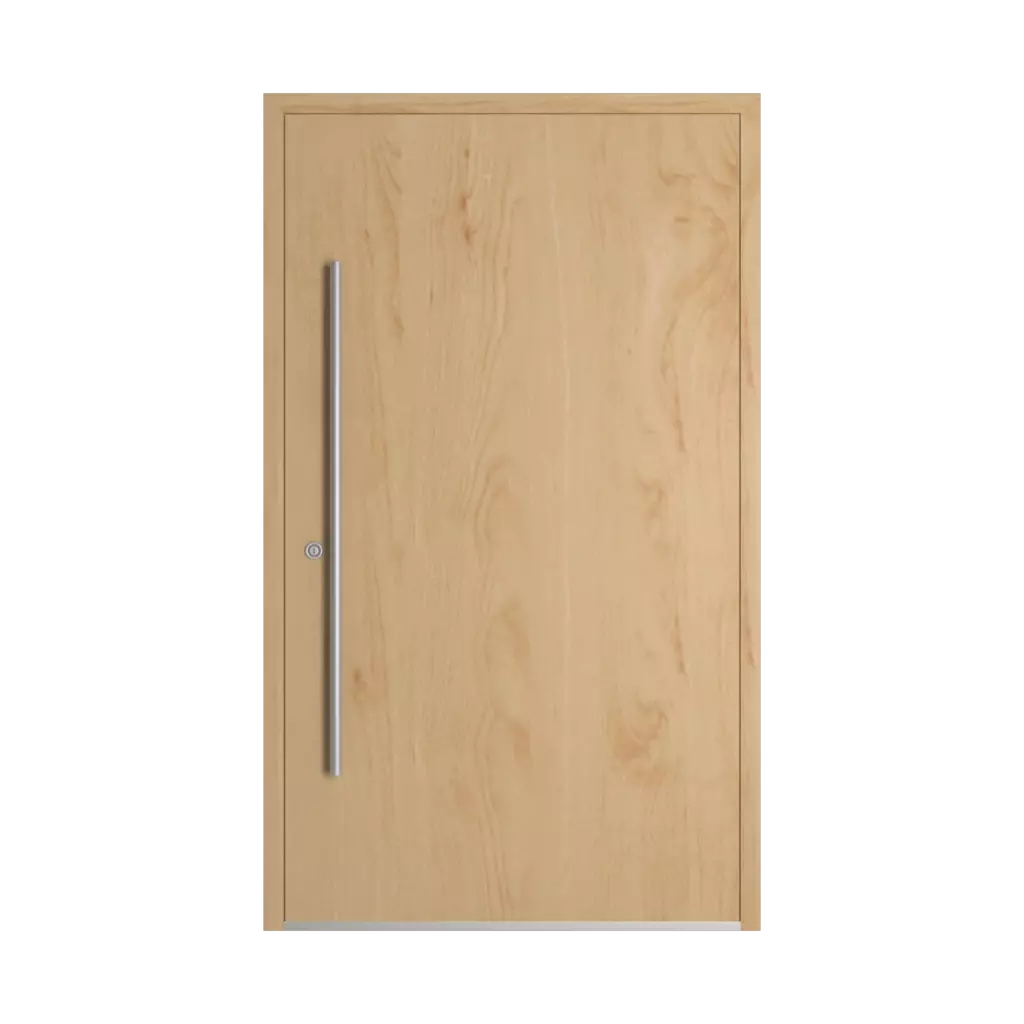 Brzoza drzwi-wejsciowe modele dindecor gl08  