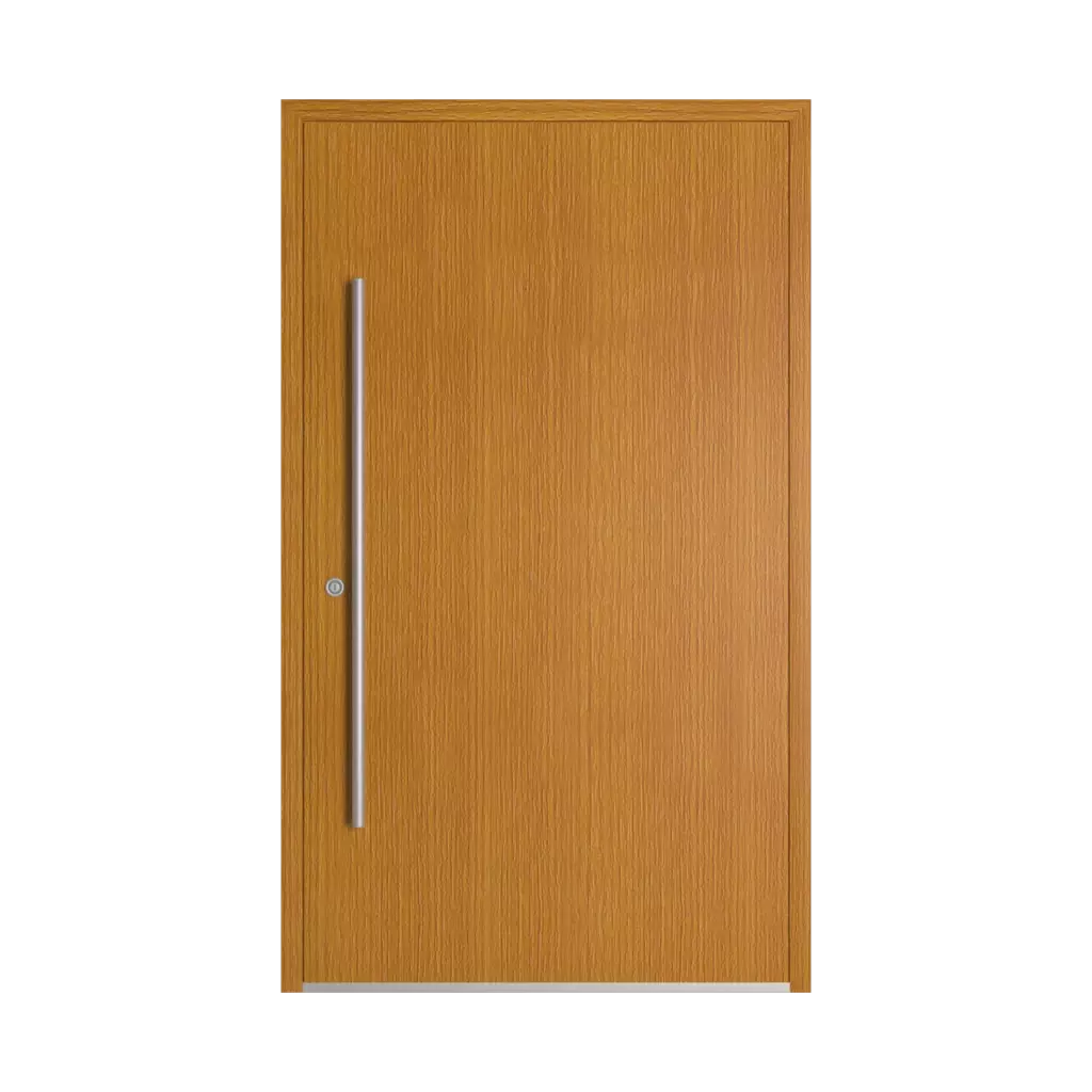 Oregon III drzwi-wejsciowe modele dindecor sl01  