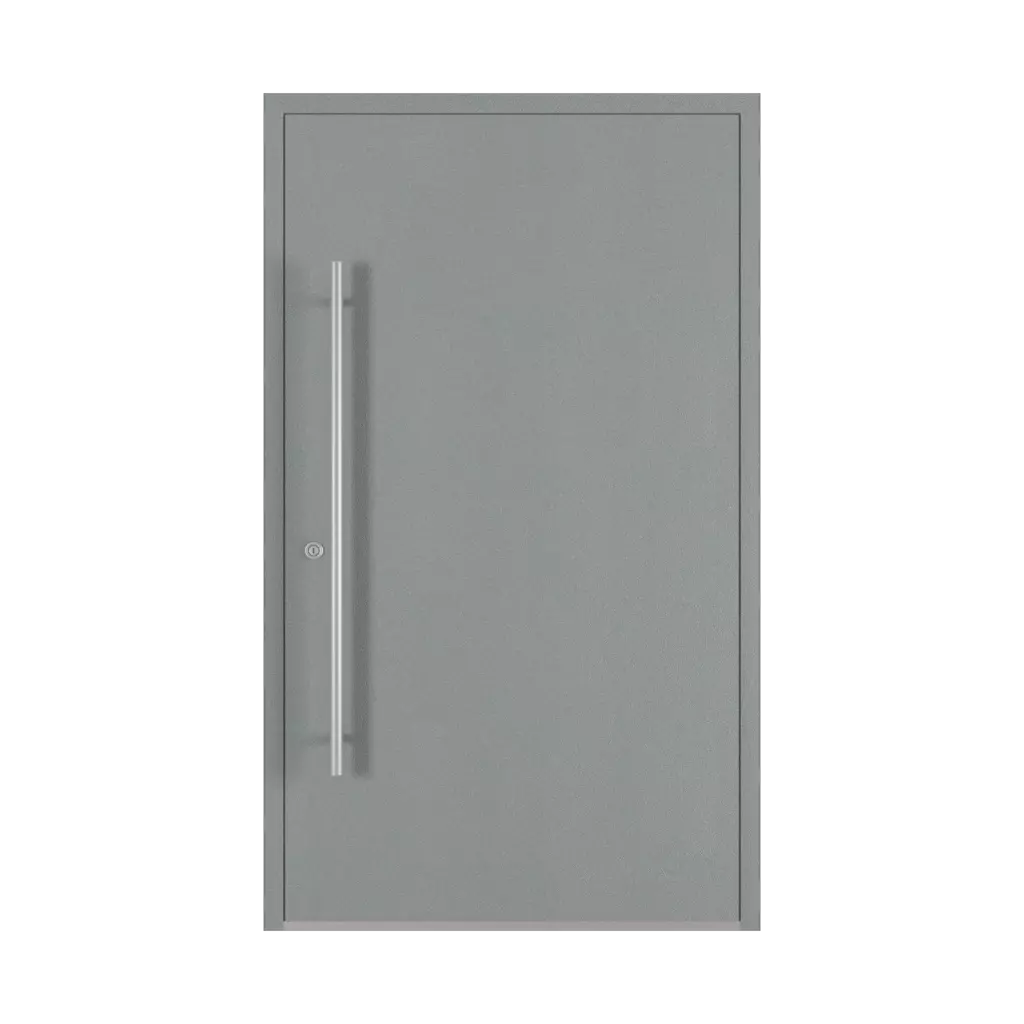Window grey aludec drzwi-wejsciowe modele dindecor sl01  