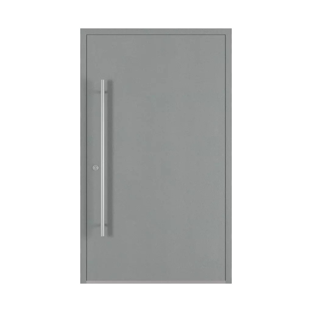 Window grey aludec drzwi-wejsciowe modele dindecor cl10  