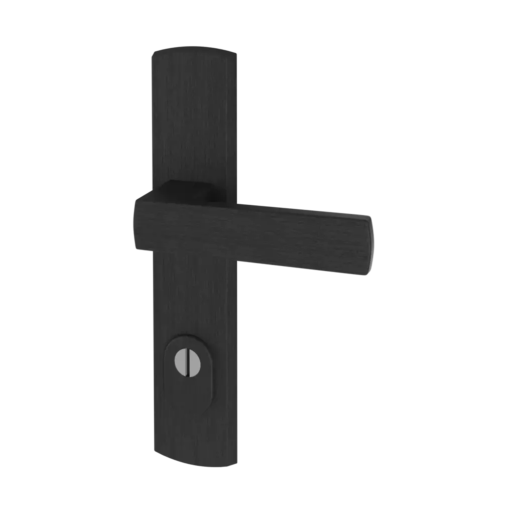 Czarna F8 drzwi-wejsciowe dodatki-do-drzwi klamki apollo interior