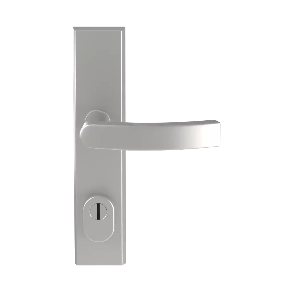 Srebrna F1 drzwi-wejsciowe dodatki-do-drzwi klamki odin srebrna-f1 