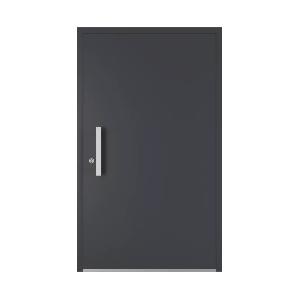 400 mm drzwi-wejsciowe dodatki-do-drzwi pochwyty pq-10 interior