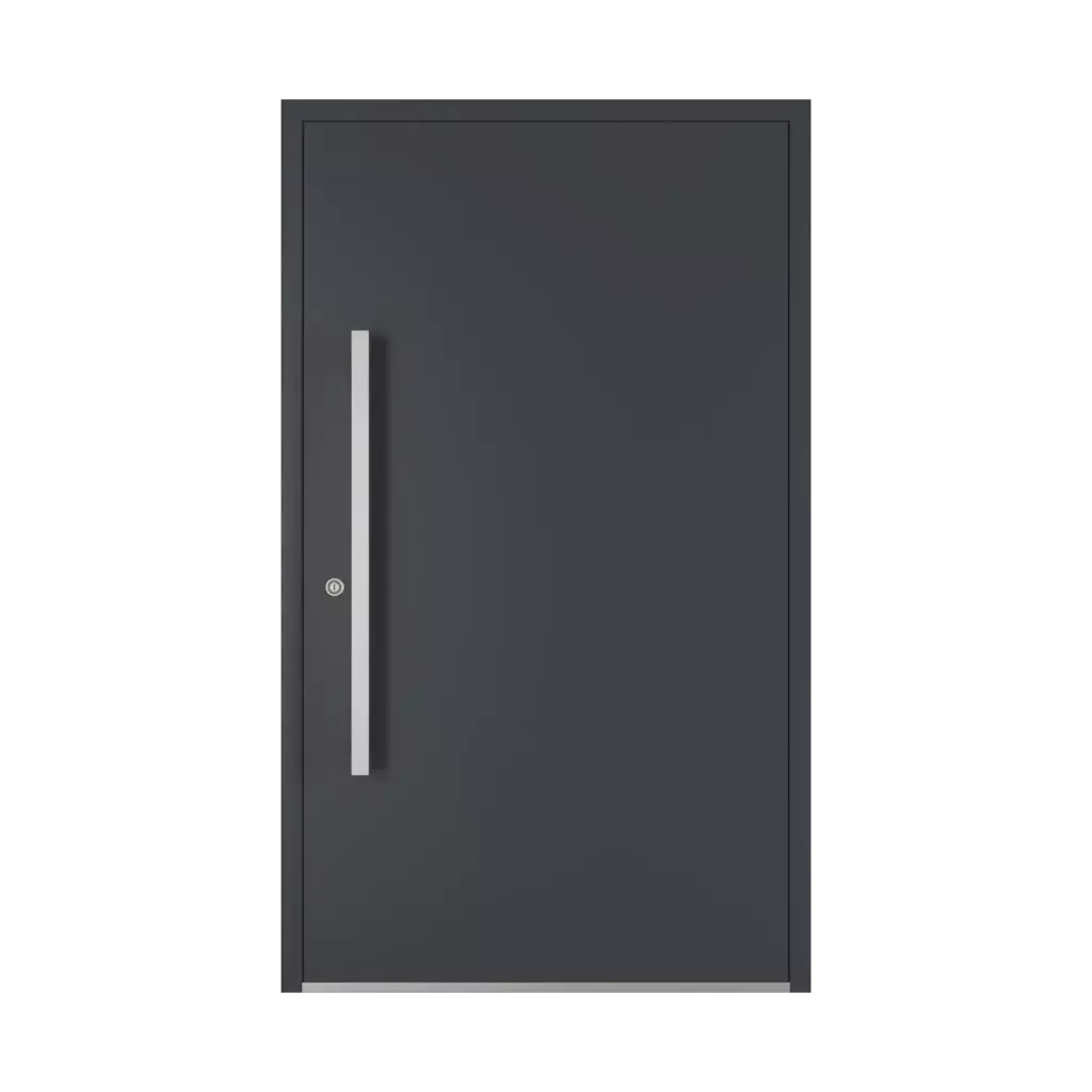 1000 mm drzwi-wejsciowe dodatki-do-drzwi pochwyty pq-10 interior