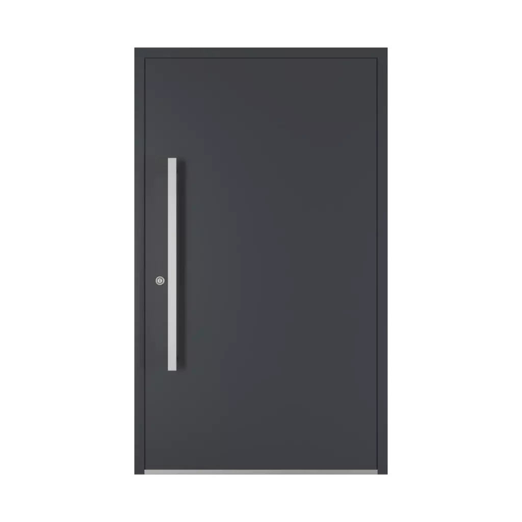 1000 mm drzwi-wejsciowe dodatki-do-drzwi pochwyty ps-10d interior