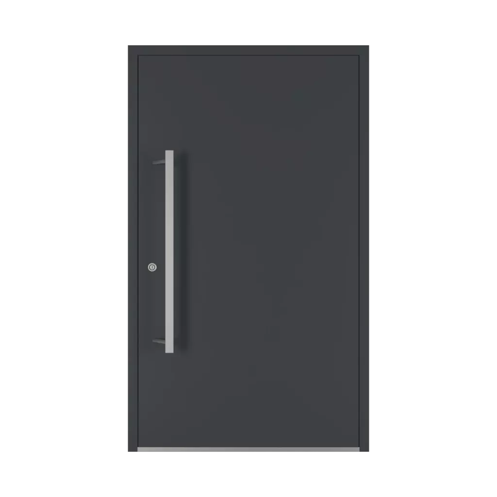 1000 mm drzwi-wejsciowe dodatki-do-drzwi pochwyty ps-45d interior
