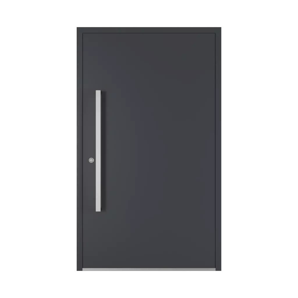 1000 mm drzwi-wejsciowe dodatki-do-drzwi pochwyty ps-10cd interior