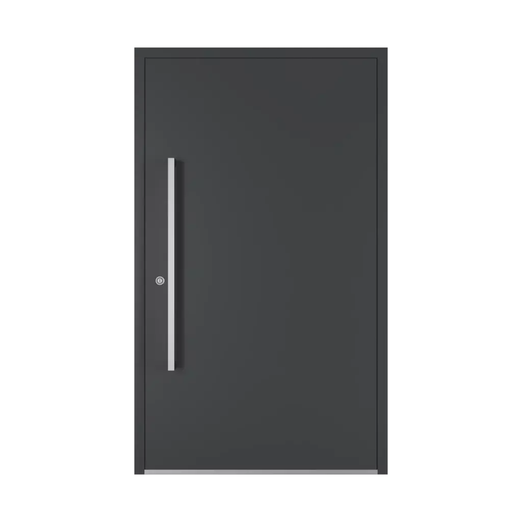 1000 mm drzwi-wejsciowe dodatki-do-drzwi pochwyty pq-we-26 interior