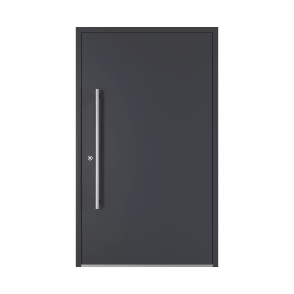 1000 mm drzwi-wejsciowe dodatki-do-drzwi pochwyty ps-10 interior