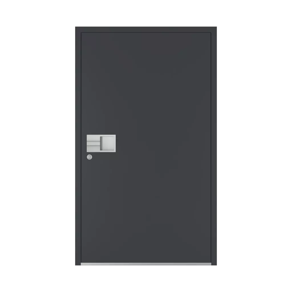 PW 19 ✨ drzwi-wejsciowe dodatki-do-drzwi pochwyty pw-19 interior
