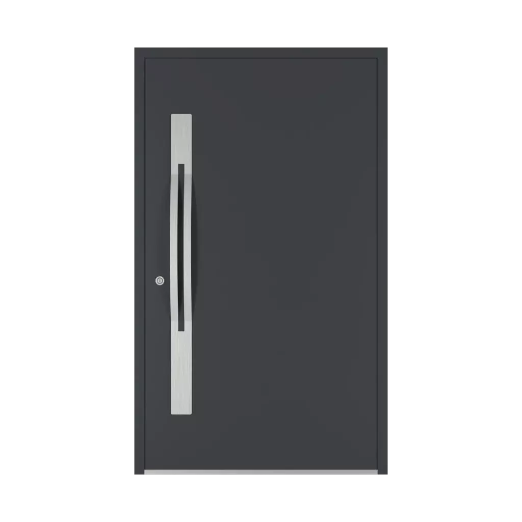 1800 mm drzwi-wejsciowe dodatki-do-drzwi pochwyty qa interior