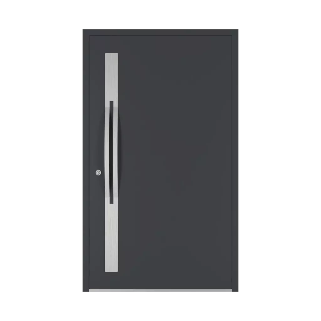 2000 mm drzwi-wejsciowe dodatki-do-drzwi pochwyty qa interior
