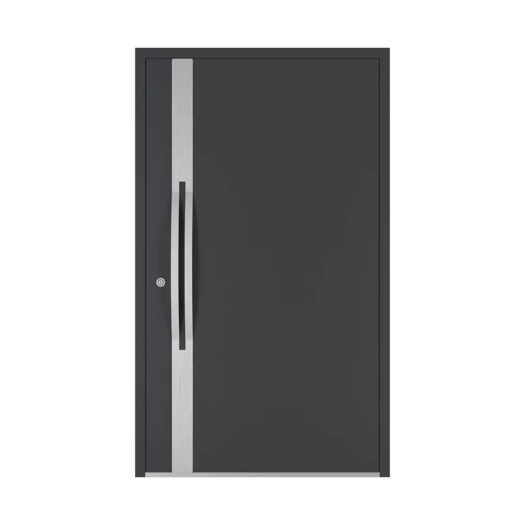 2200 mm drzwi-wejsciowe dodatki-do-drzwi pochwyty qa interior