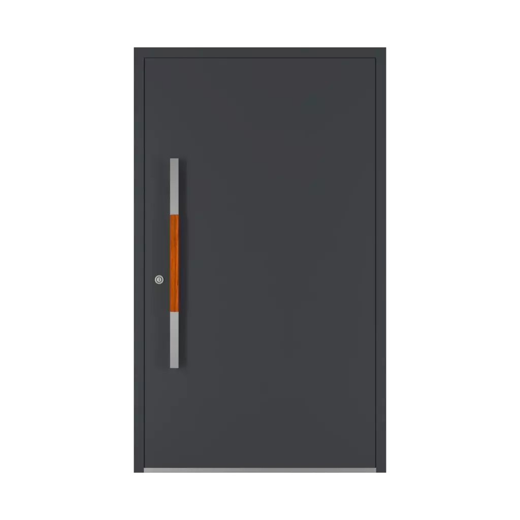 1000 mm drzwi-wejsciowe dodatki-do-drzwi pochwyty pd-124 