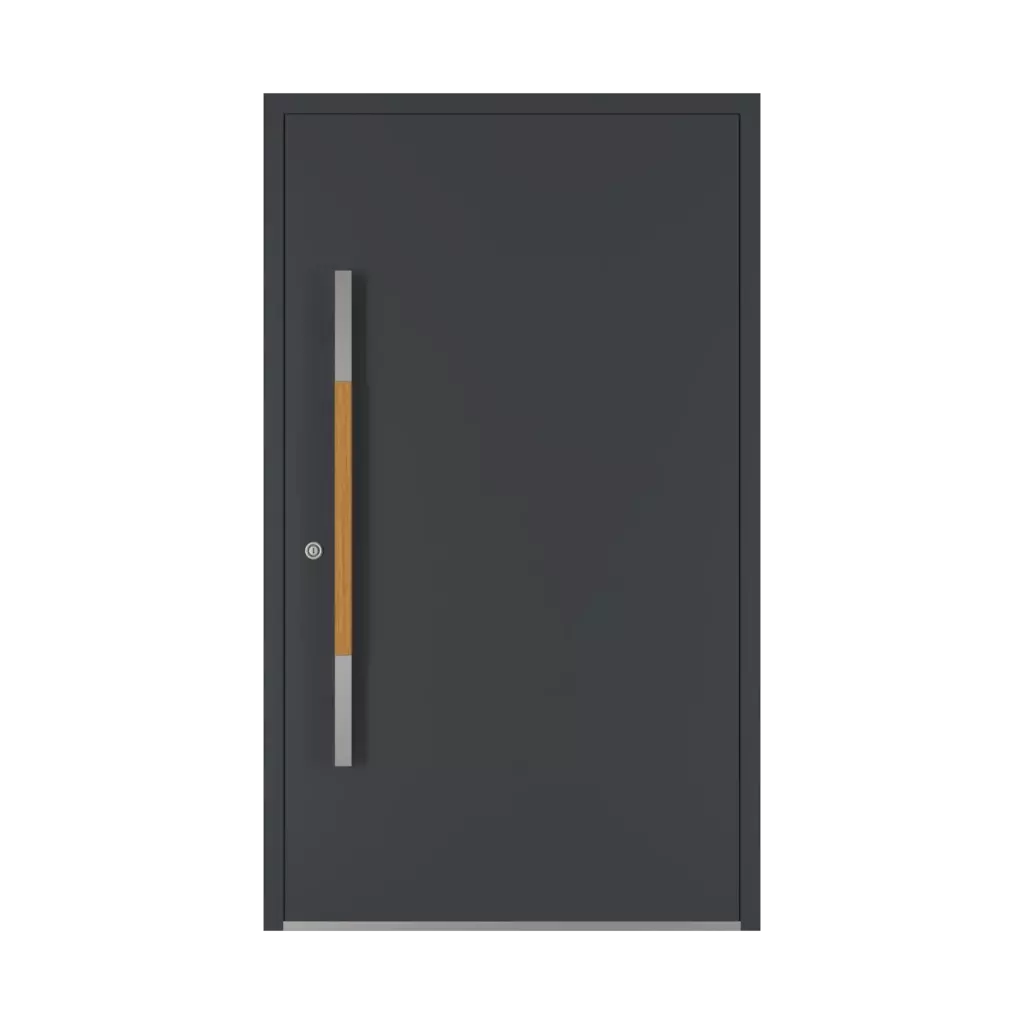 Dąb drzwi-wejsciowe dodatki-do-drzwi pochwyty pd-124 interior