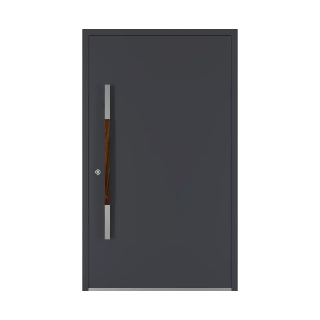 Orzech drzwi-wejsciowe dodatki-do-drzwi pochwyty pd-124 interior