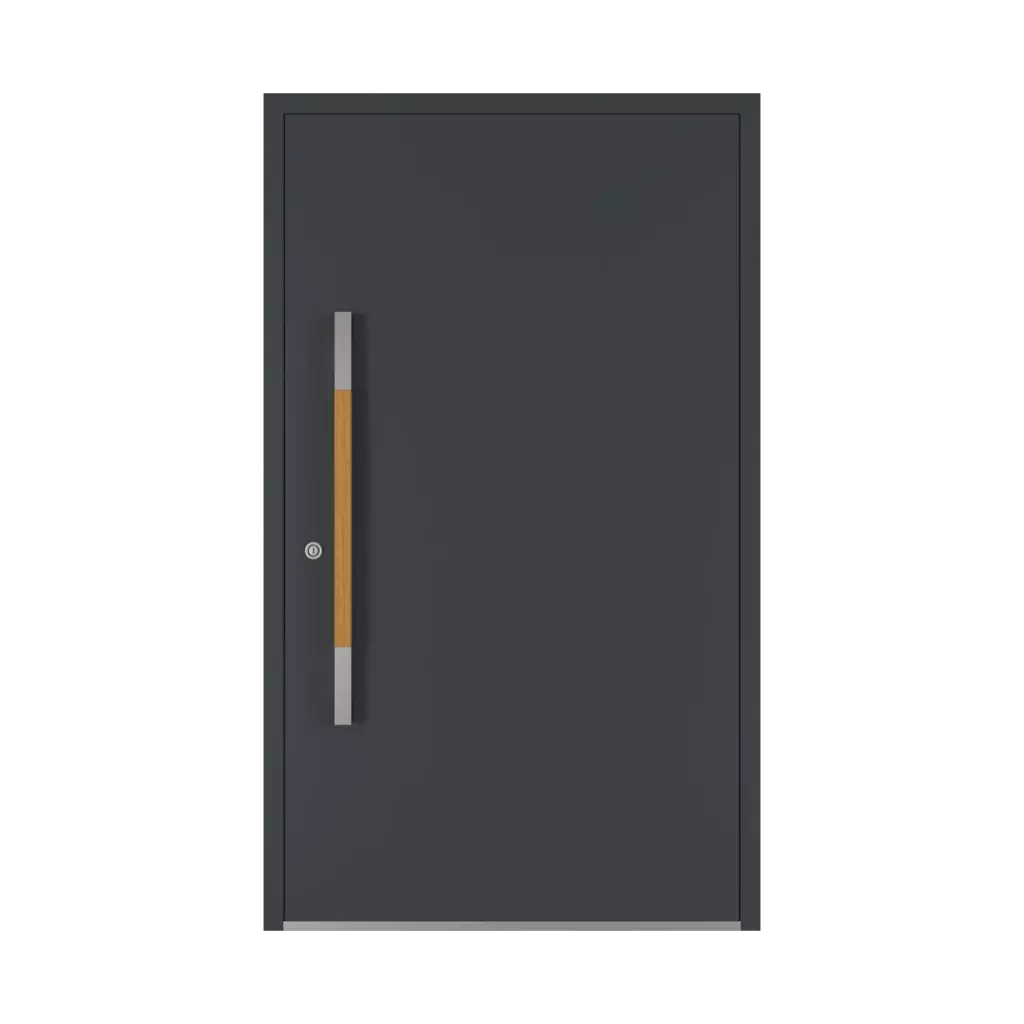 Dąb drzwi-wejsciowe dodatki-do-drzwi pochwyty pd-125 interior