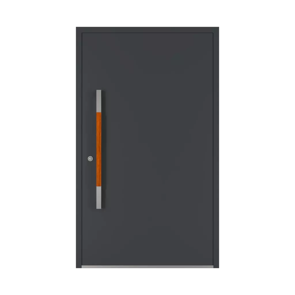 1000 mm drzwi-wejsciowe dodatki-do-drzwi pochwyty pd-125 interior