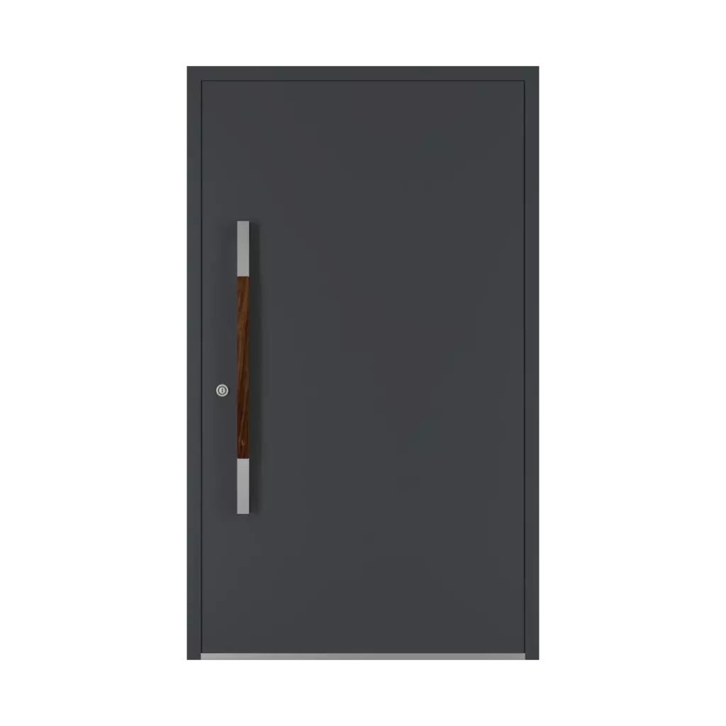 Orzech drzwi-wejsciowe dodatki-do-drzwi pochwyty pd-125 interior