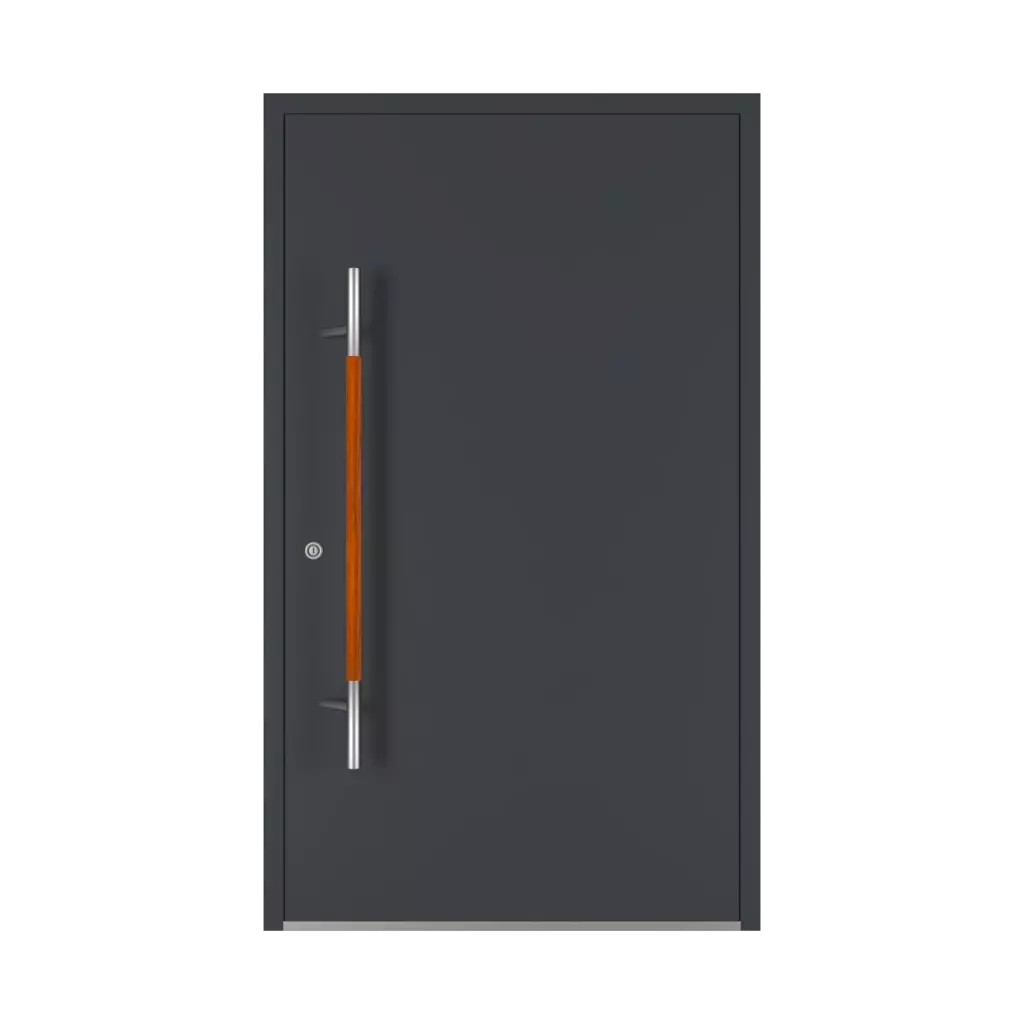 1200 mm drzwi-wejsciowe dodatki-do-drzwi pochwyty pd-134 interior