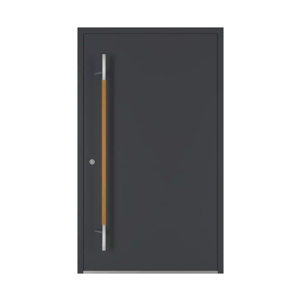 Dąb drzwi-wejsciowe dodatki-do-drzwi pochwyty pd-134 interior