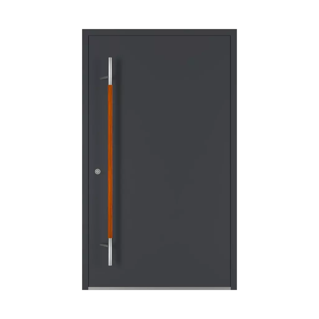 1600 mm drzwi-wejsciowe dodatki-do-drzwi pochwyty pd-134 