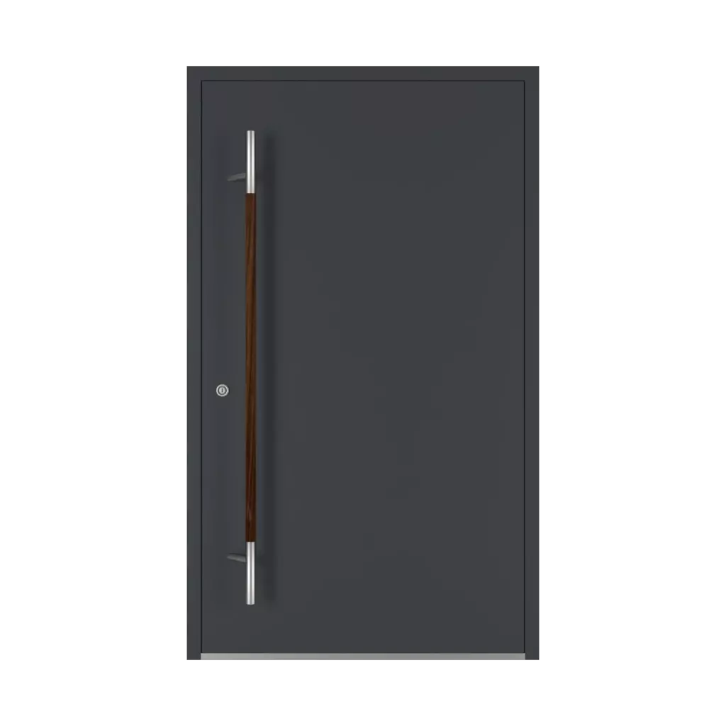 Orzech drzwi-wejsciowe dodatki-do-drzwi pochwyty pd-134 interior