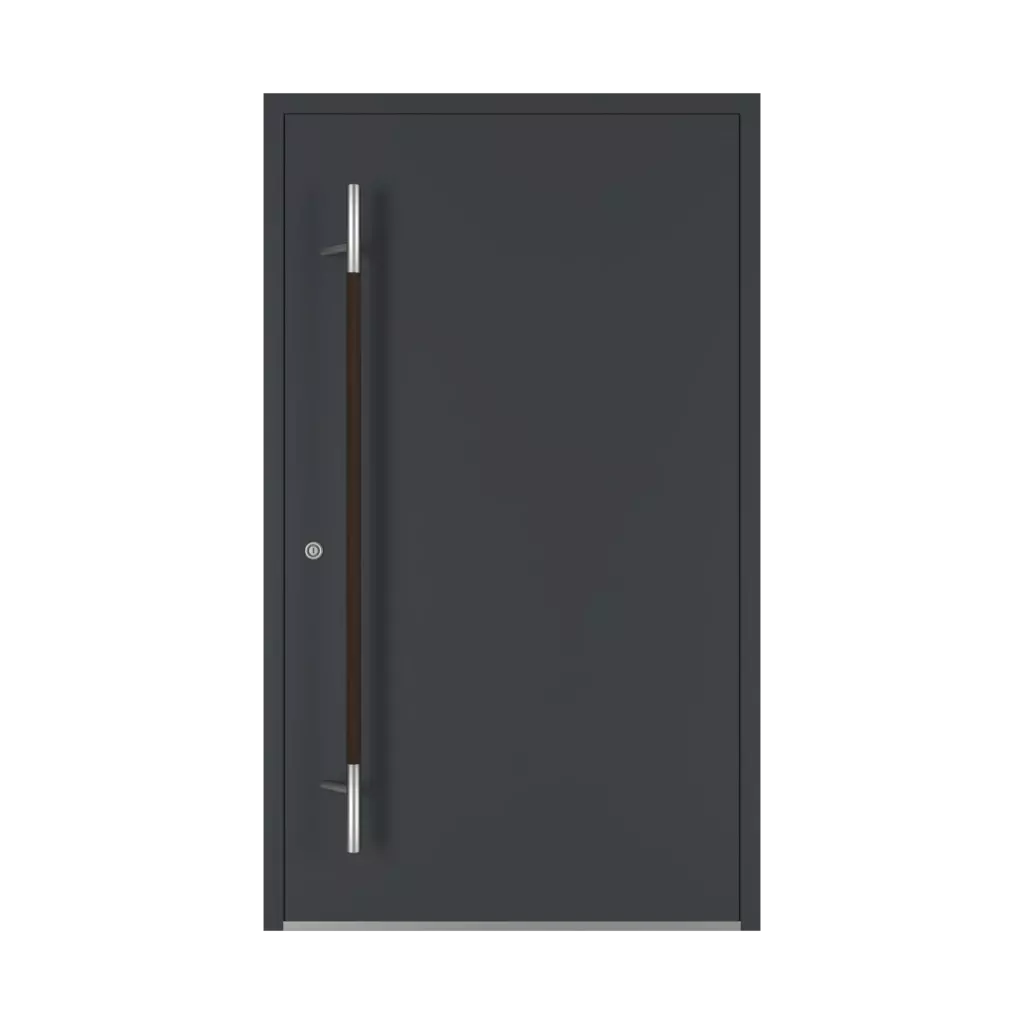 Wenge drzwi-wejsciowe dodatki-do-drzwi pochwyty pd-134 interior