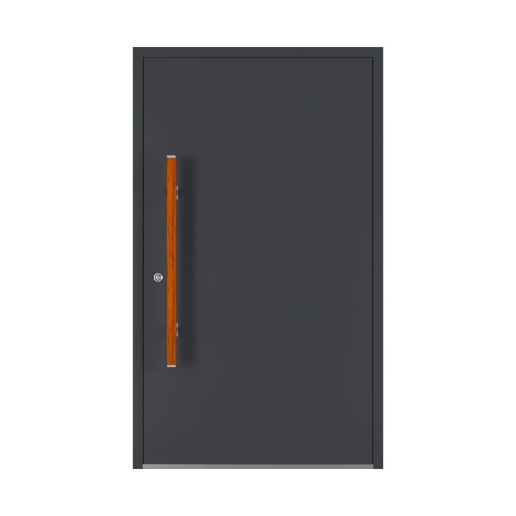 PD 136 ✨ drzwi-wejsciowe dodatki-do-drzwi pochwyty pd-136 interior