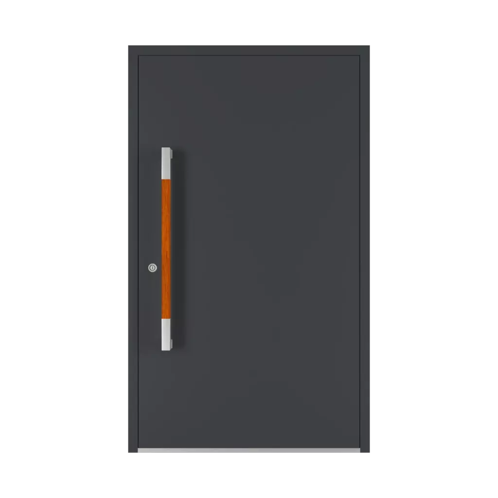 1000 mm drzwi-wejsciowe dodatki-do-drzwi pochwyty pd-190 