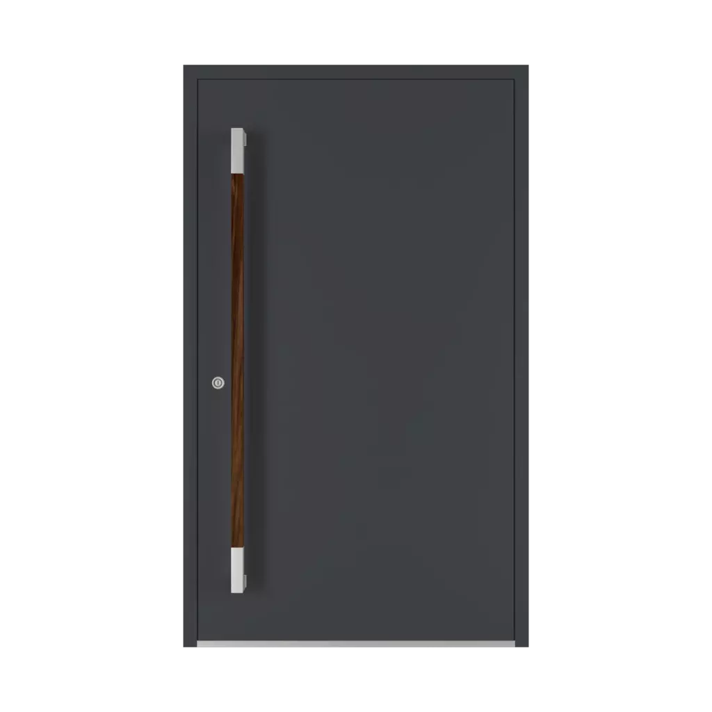 Orzech drzwi-wejsciowe dodatki-do-drzwi pochwyty pd-190 interior