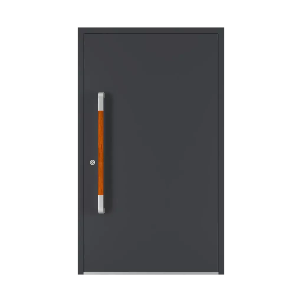 1000 mm drzwi-wejsciowe dodatki-do-drzwi pochwyty pd-180 interior