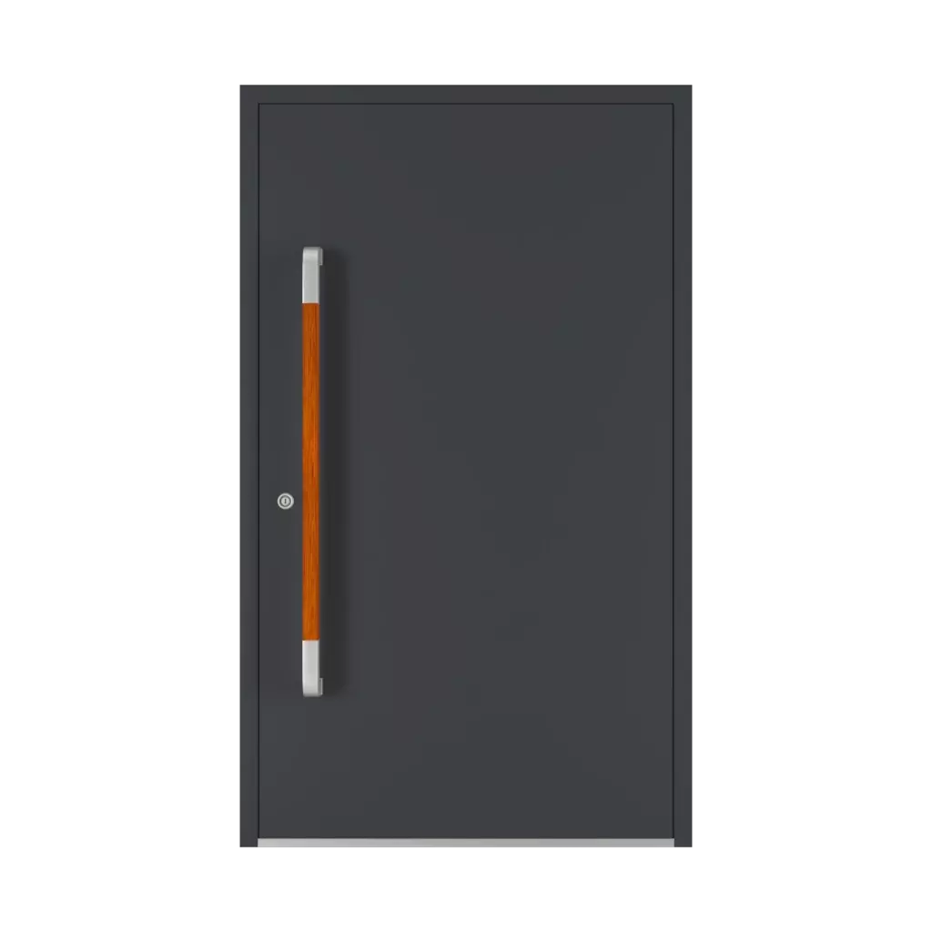 PD 180 drzwi-wejsciowe dodatki-do-drzwi pochwyty pd-180 interior