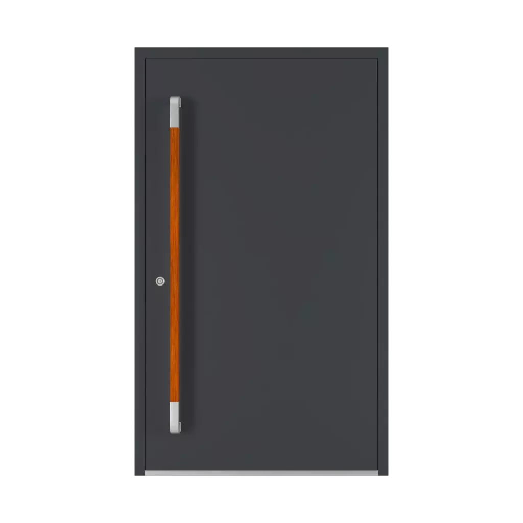 Jatoba drzwi-wejsciowe dodatki-do-drzwi pochwyty pd-180 interior