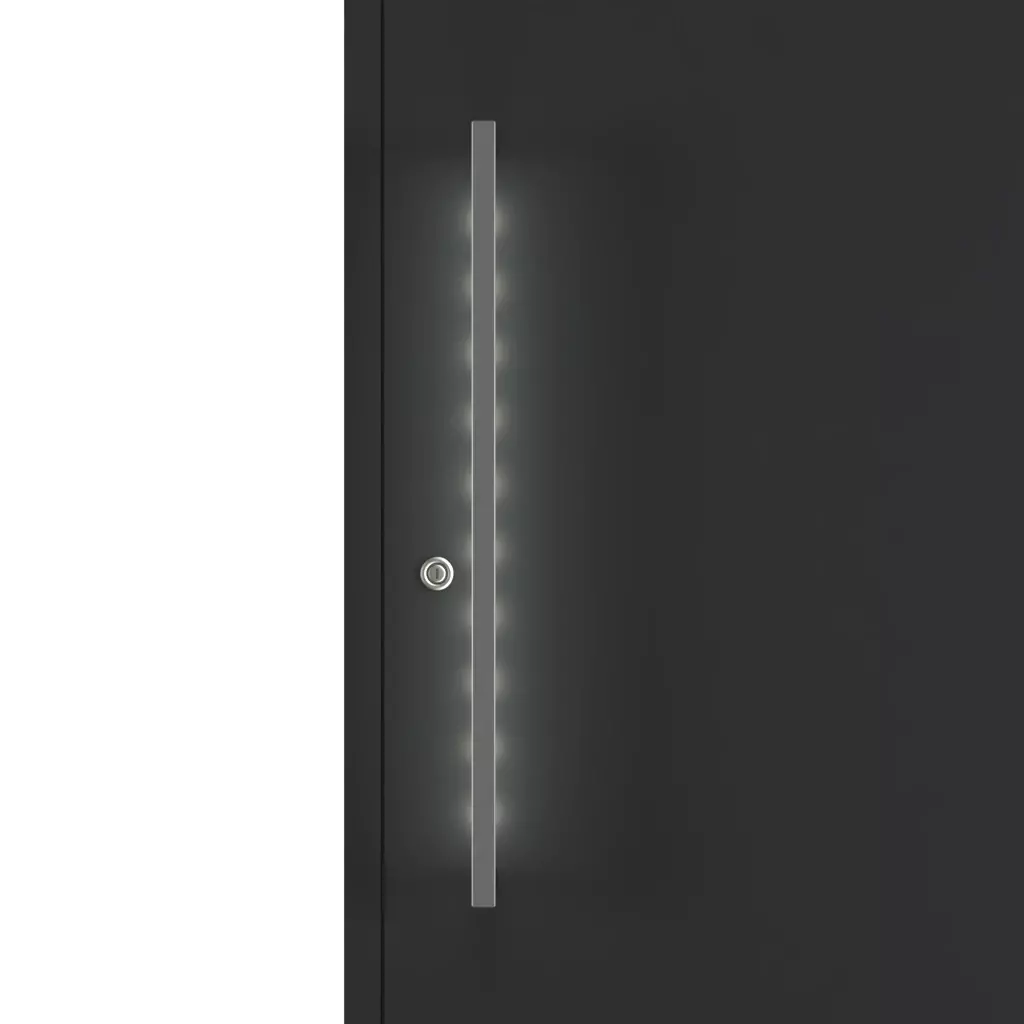 Biały ciepły drzwi-wejsciowe dodatki-do-drzwi pochwyty elektronika-w-pochwytach 