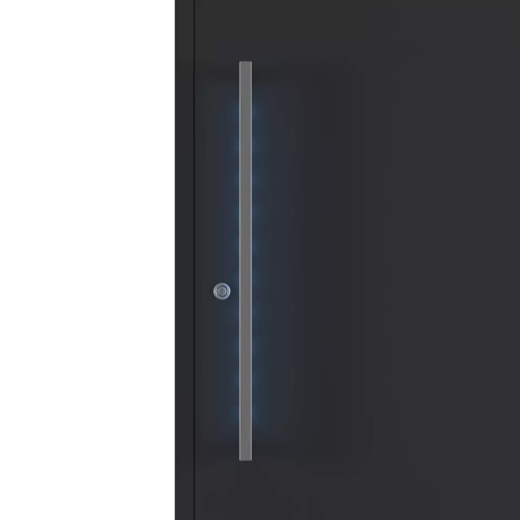 Niebieski drzwi-wejsciowe dodatki-do-drzwi pochwyty elektronika-w-pochwytach 