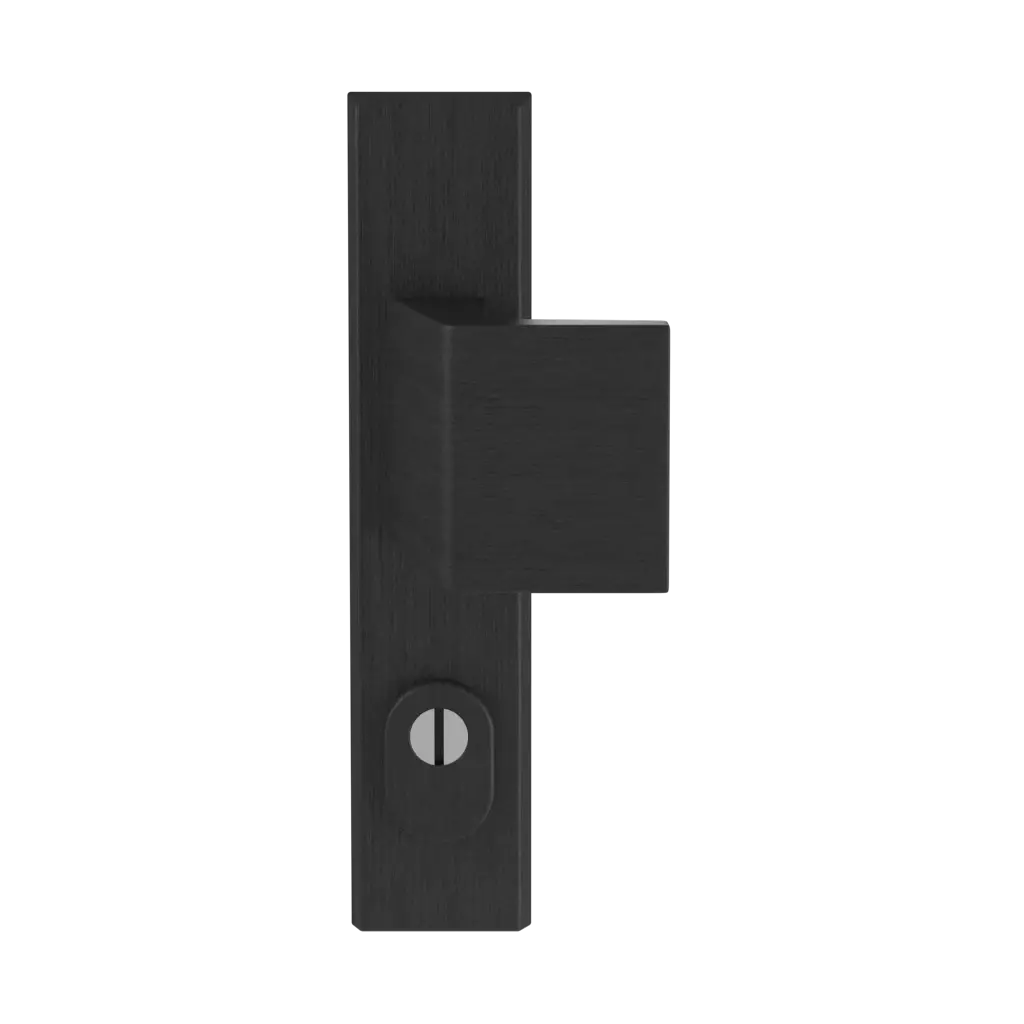 Czarna F8 drzwi-wejsciowe dodatki-do-drzwi galki royal czarna-f8 