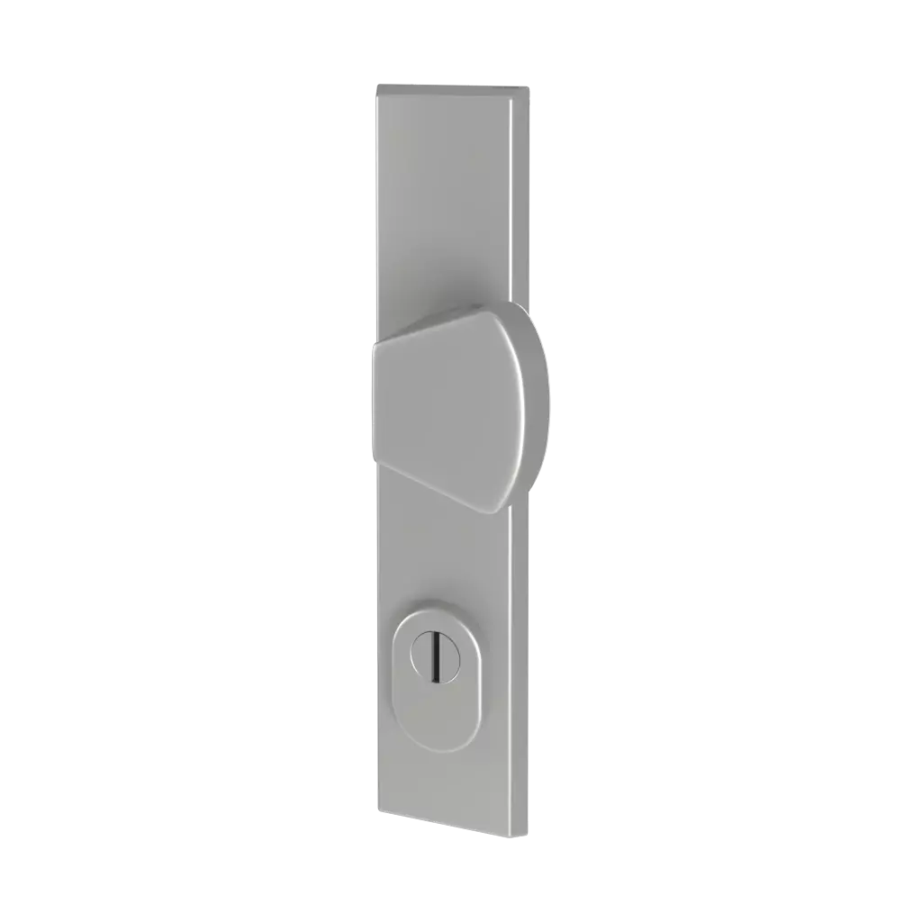 Srebrna F1 drzwi-wejsciowe dodatki-do-drzwi galki odin interior